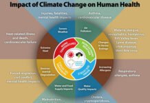 Human impact on Global Climate Human impact on Global Climate