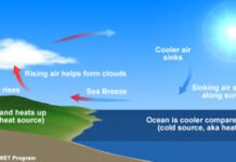 List of Local Winds Local Winds